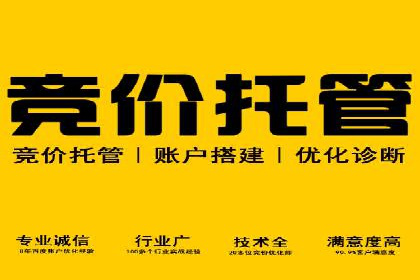行业领先企业如何运用百度SEM推广提升品牌影响力？